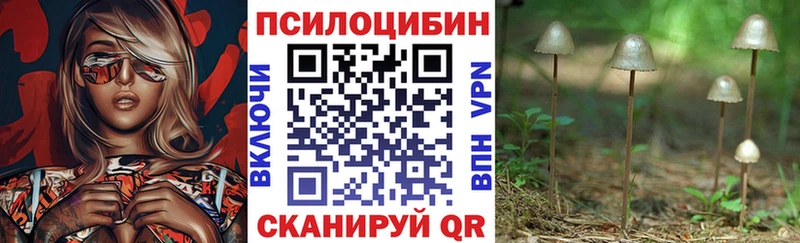 Галлюциногенные грибы мицелий  Курчатов 